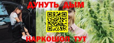 бошки Шелехов