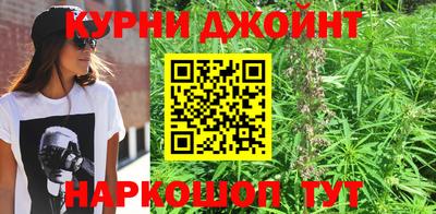 бошки Шелехов