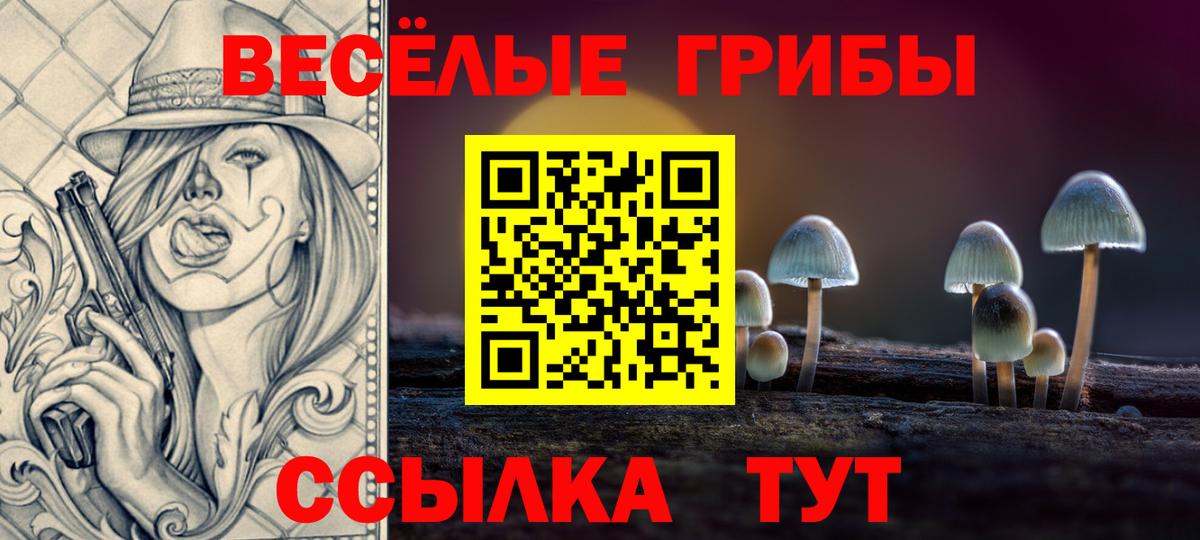 Астрахань  Галлюциногенные грибы Psilocybe  Вход с VPN 